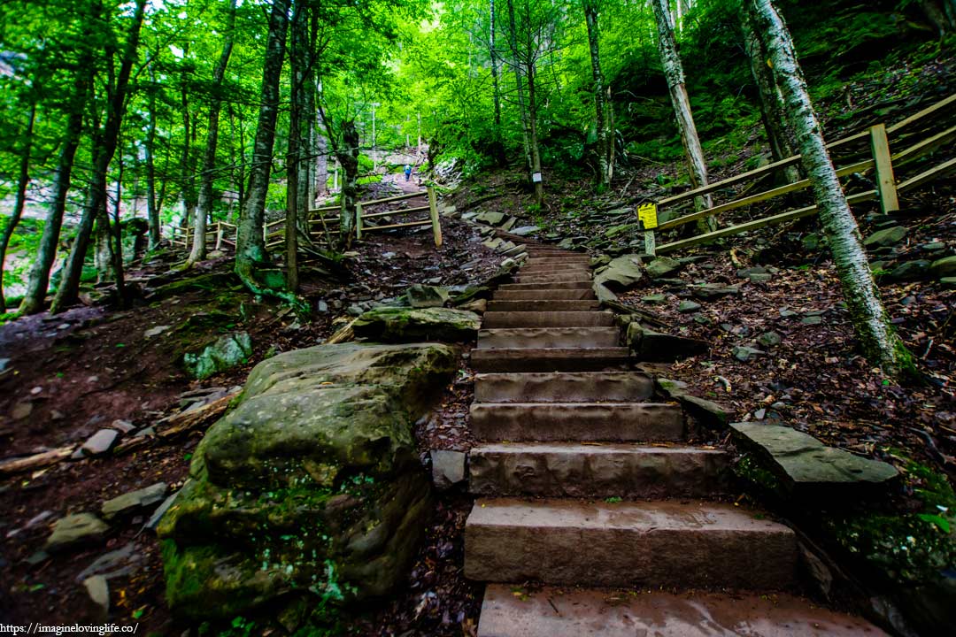 stairs from bottom